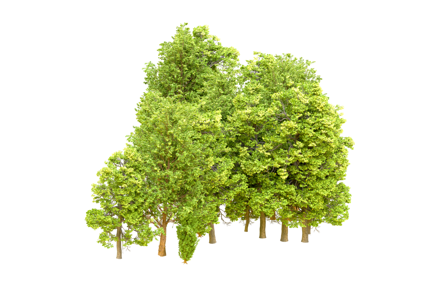 Green forest isolated on background. 3d rendering - illustration png