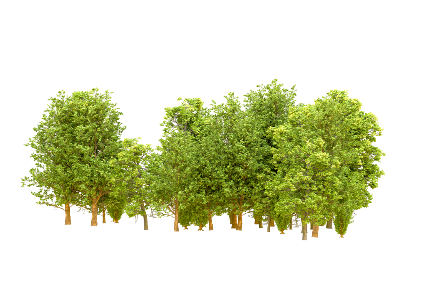 Green forest isolated on background. 3d rendering - illustration png