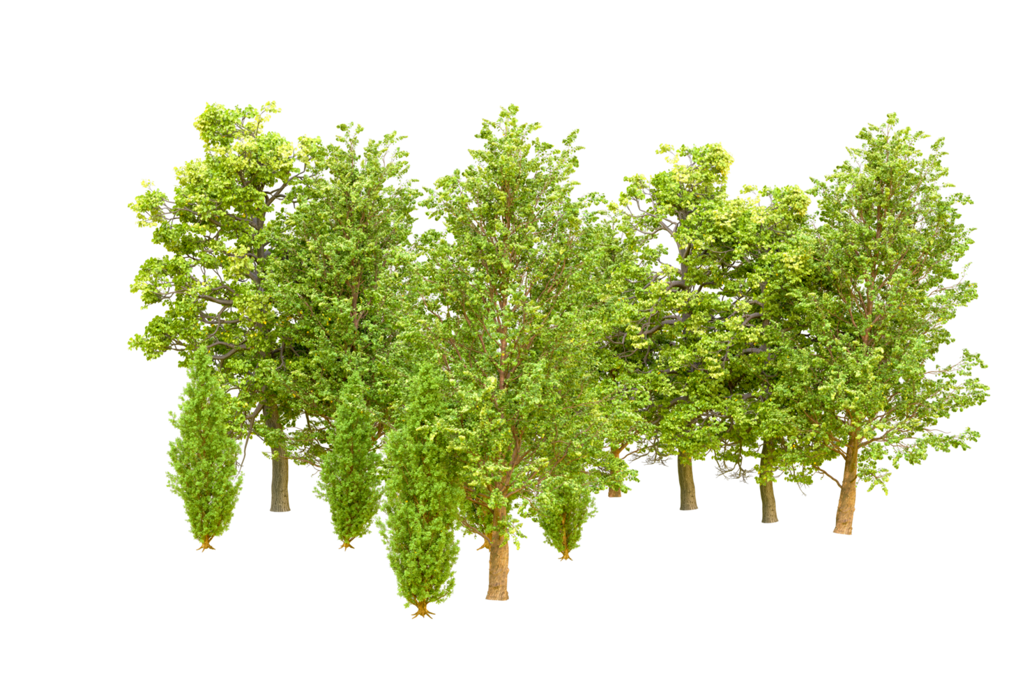 Green forest isolated on background. 3d rendering - illustration png