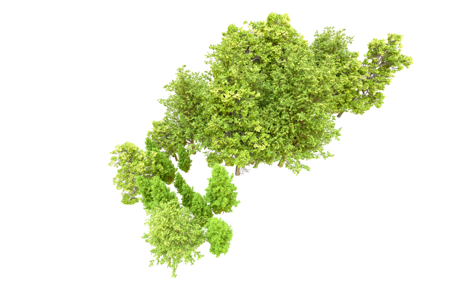 Green forest isolated on background. 3d rendering - illustration png