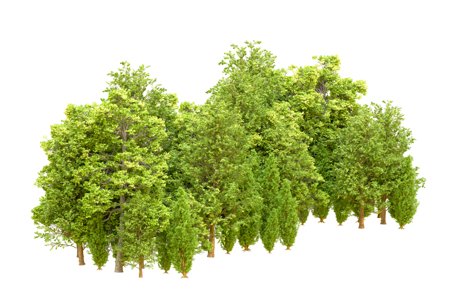 Green forest isolated on background. 3d rendering - illustration png