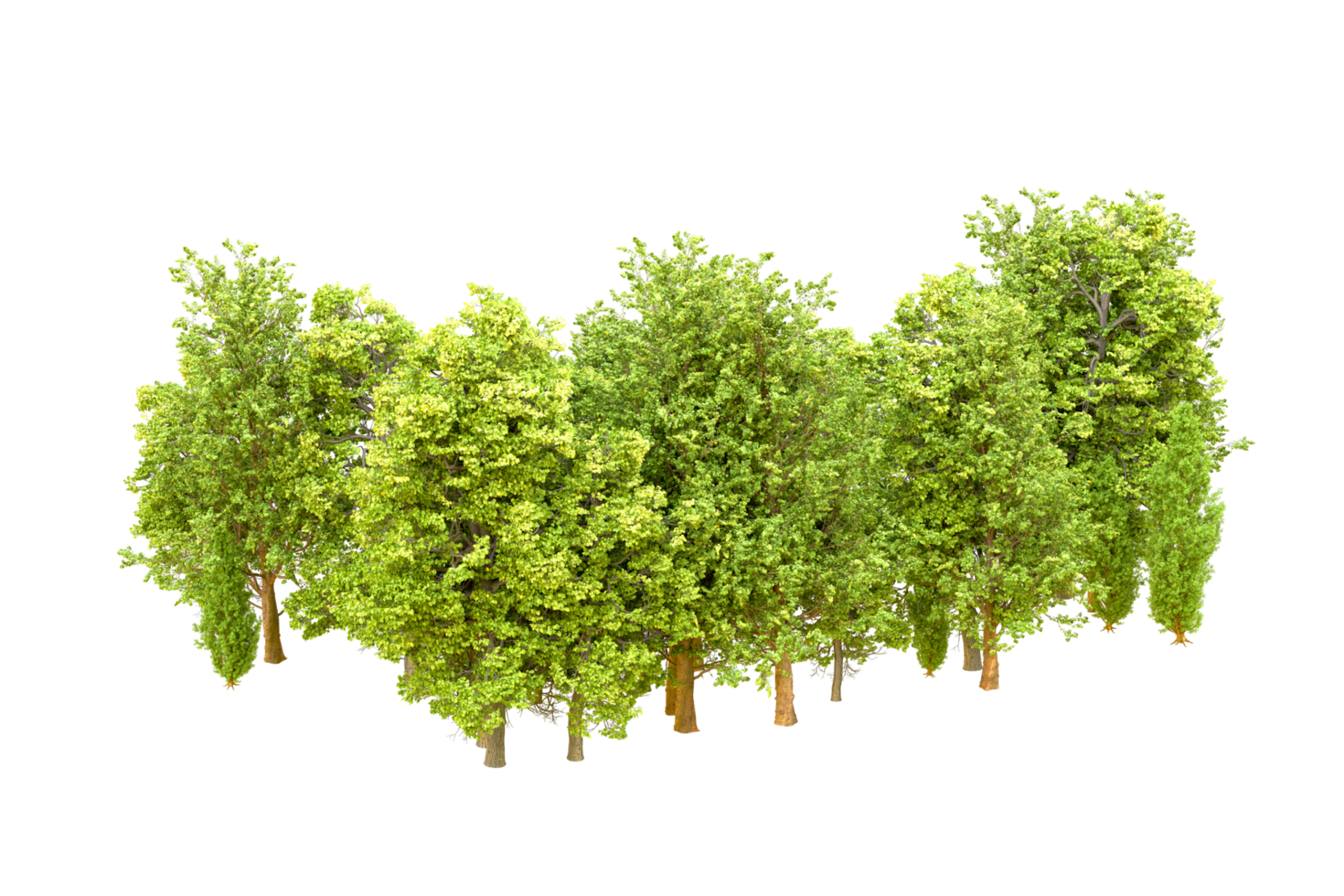 Green forest isolated on background. 3d rendering - illustration png