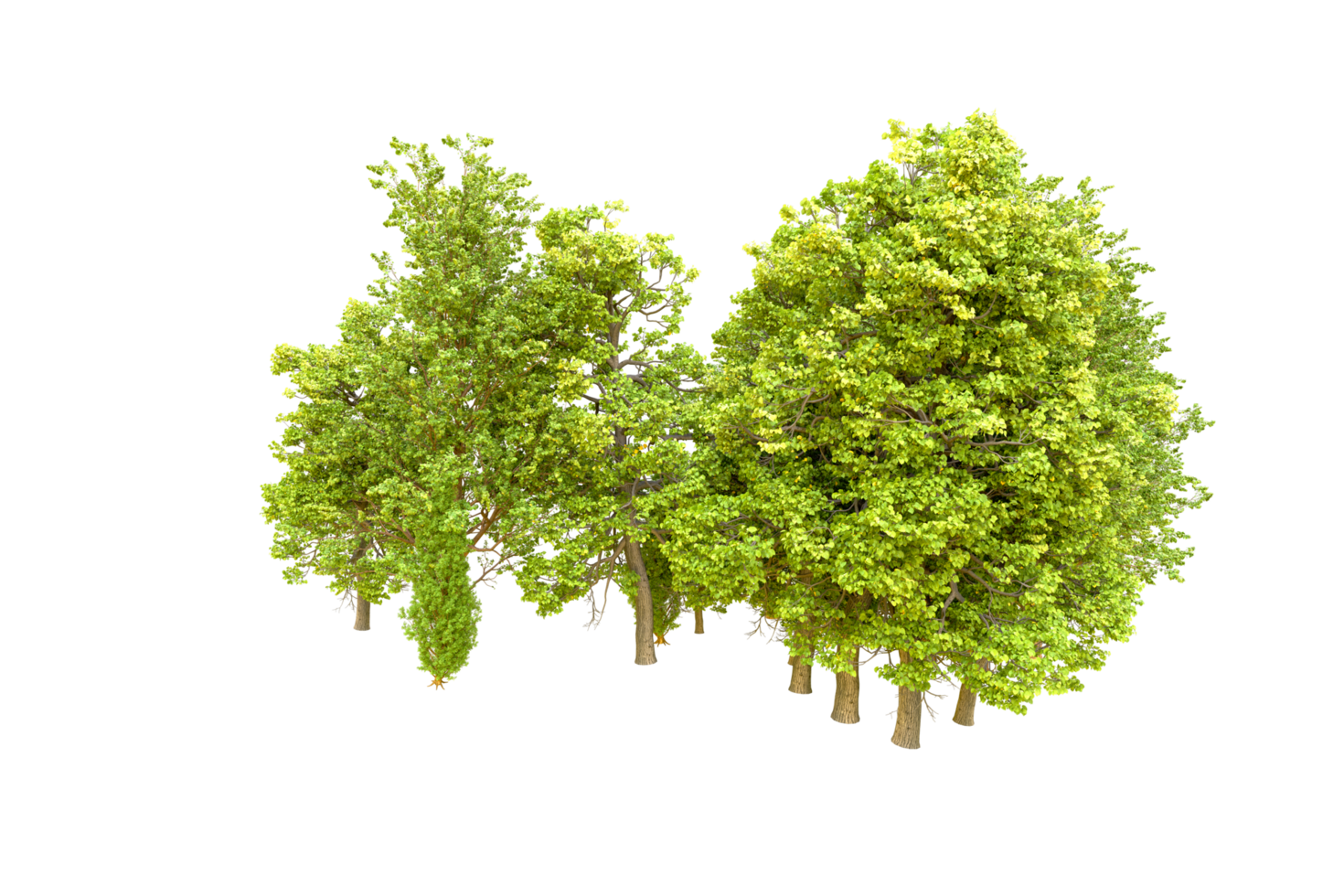 Green forest isolated on background. 3d rendering - illustration png