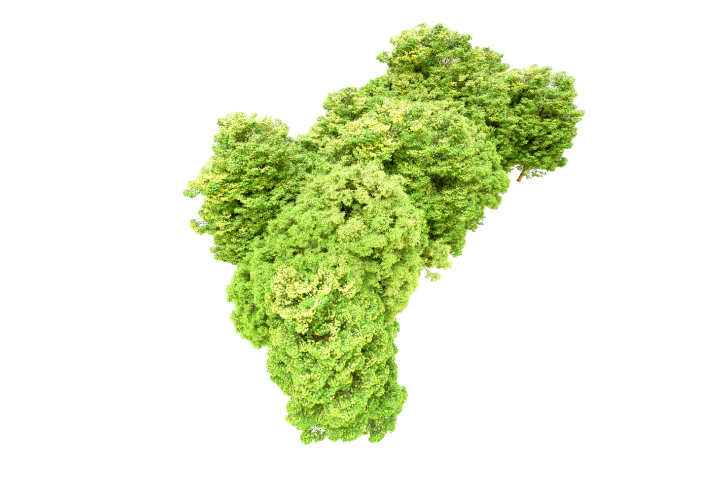 Green forest isolated on background. 3d rendering - illustration png