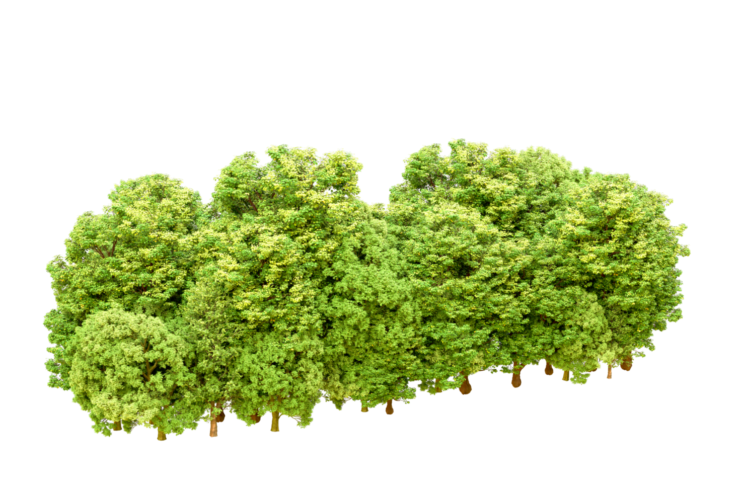 Green forest isolated on background. 3d rendering - illustration png