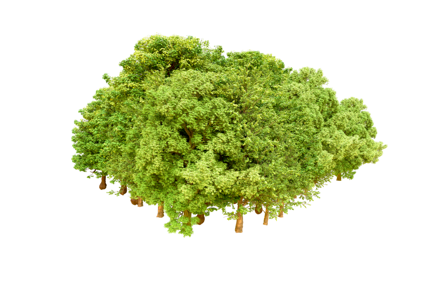 Green forest isolated on background. 3d rendering - illustration png