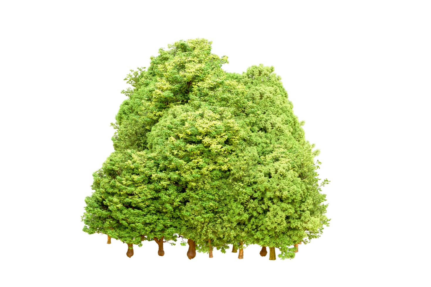 Green forest isolated on background. 3d rendering - illustration png