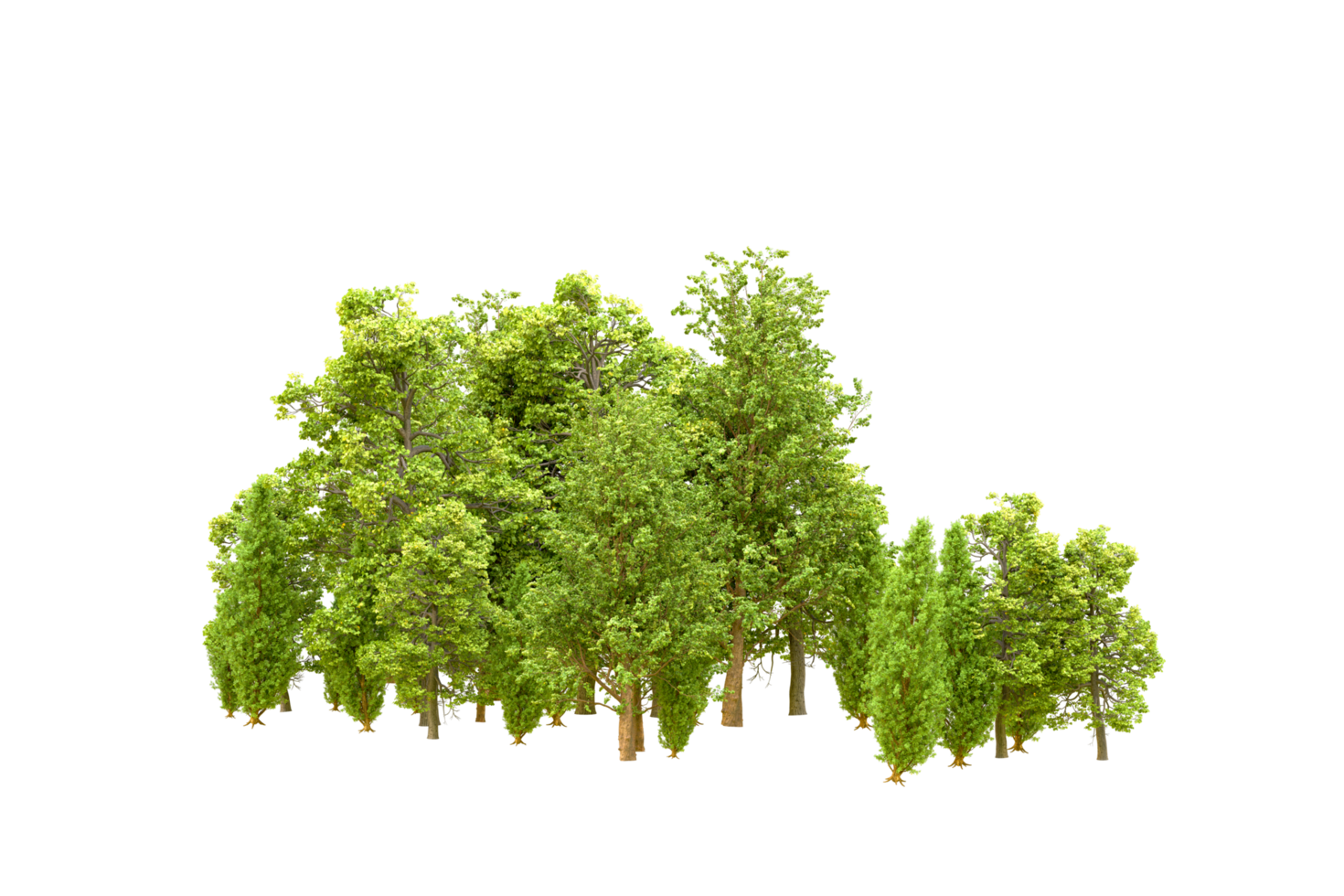 Green forest isolated on background. 3d rendering - illustration png