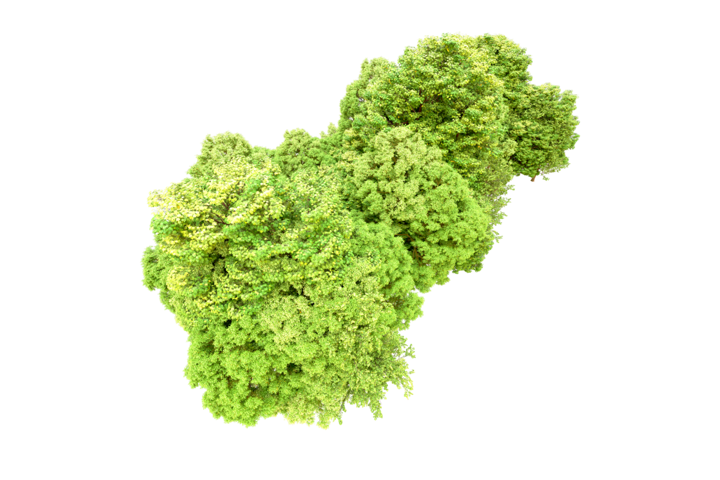 Green forest isolated on background. 3d rendering - illustration png