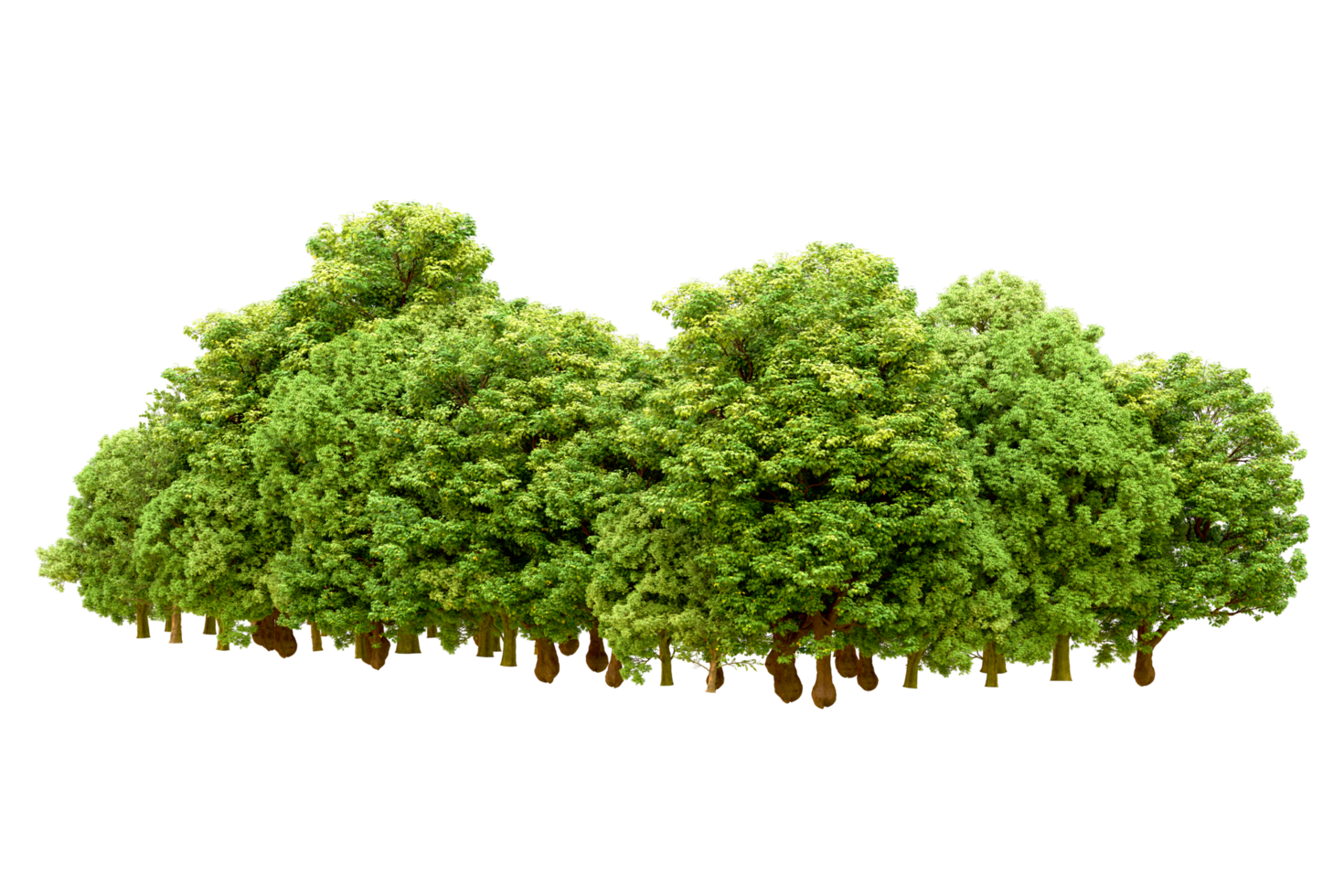 Green forest isolated on background. 3d rendering - illustration png