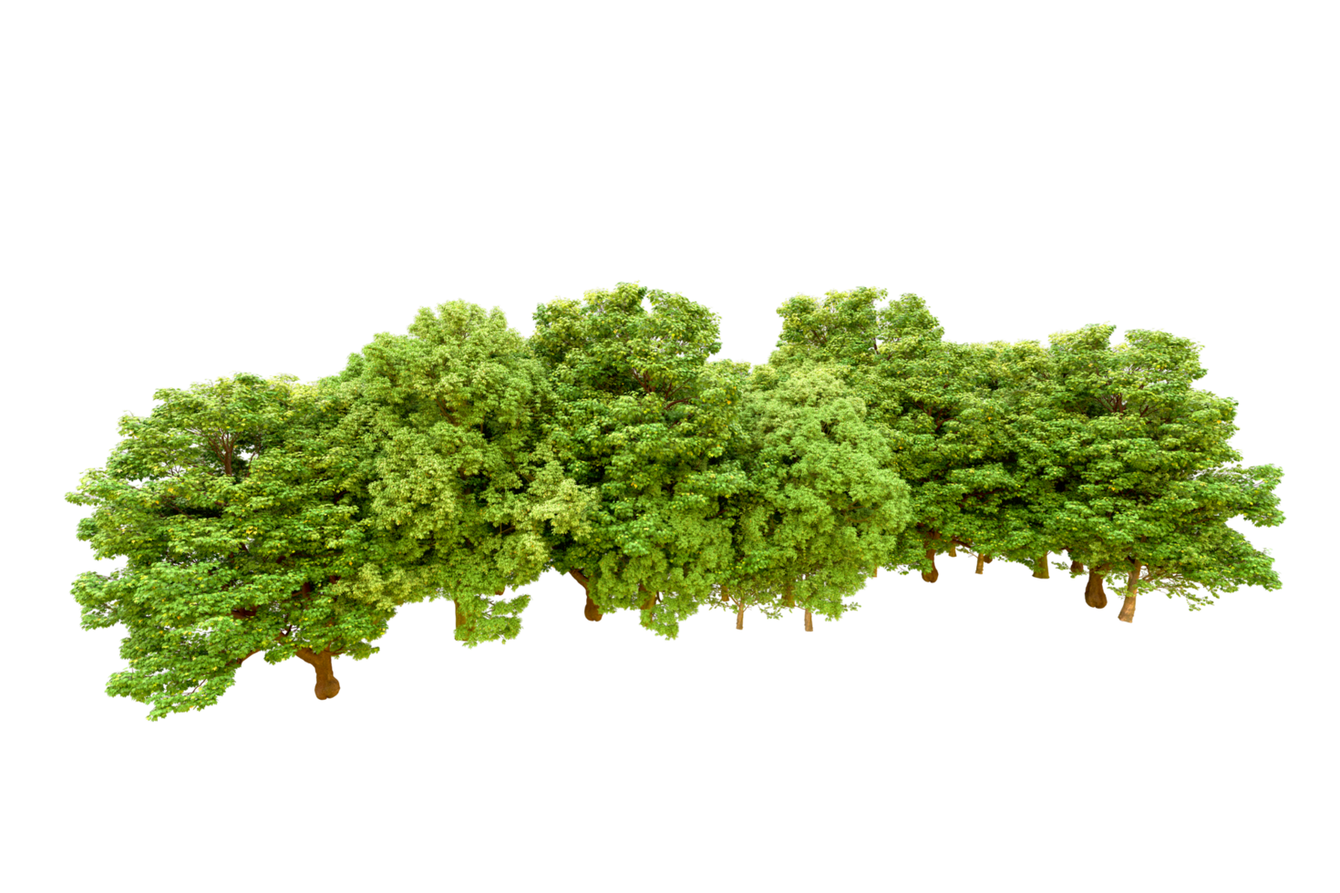 Green forest isolated on background. 3d rendering - illustration png