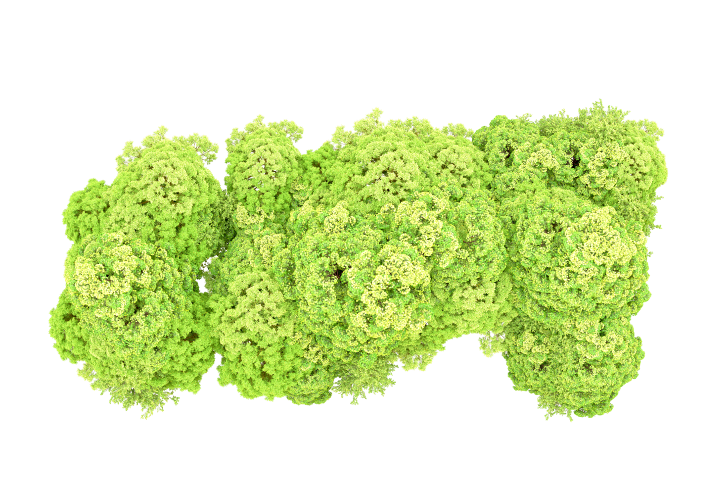Green forest isolated on background. 3d rendering - illustration png