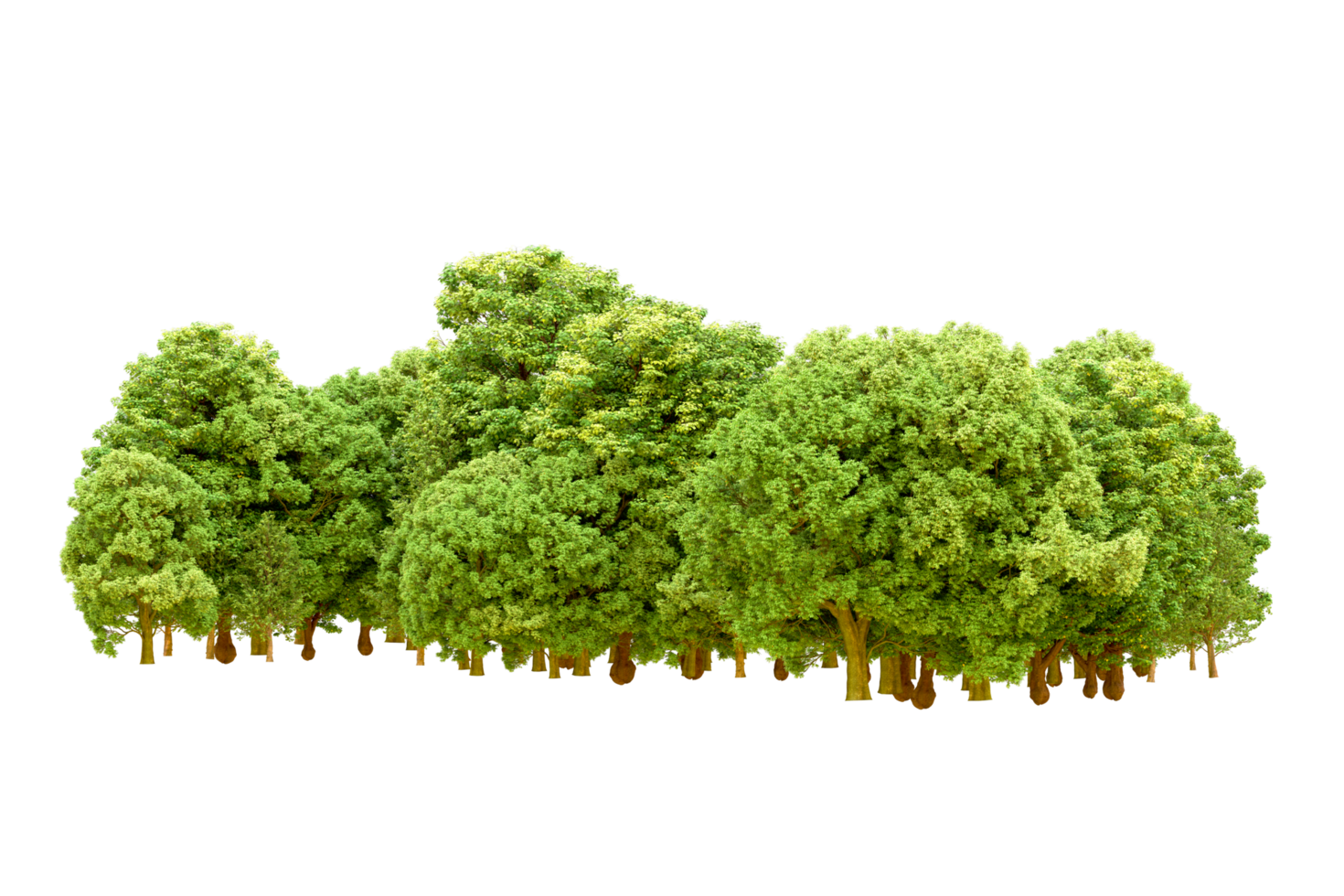 Green forest isolated on background. 3d rendering - illustration png