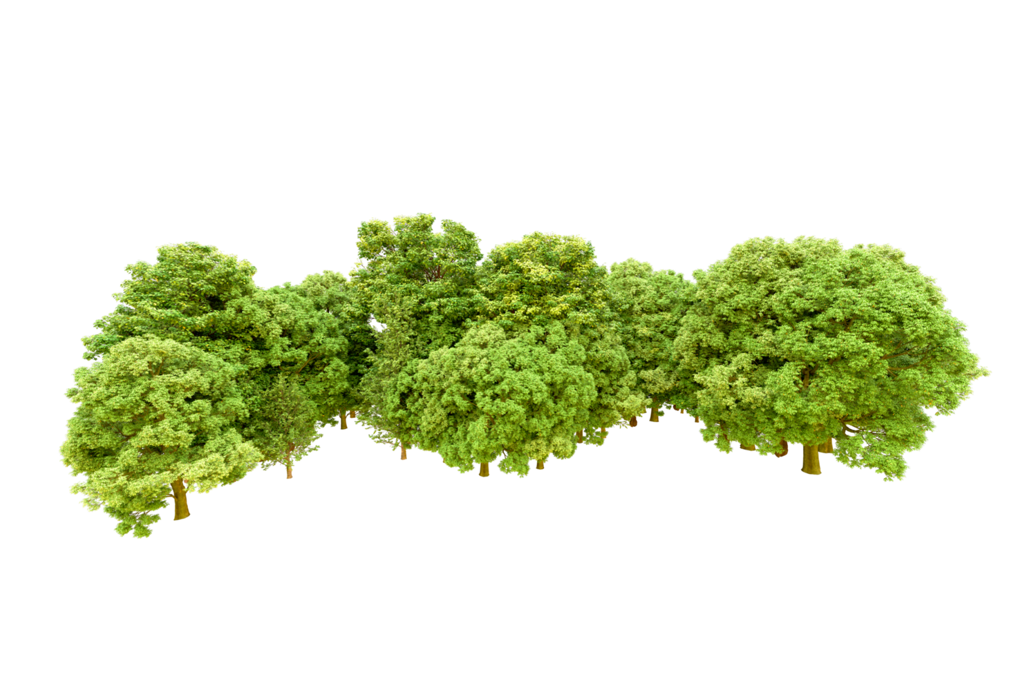 Green forest isolated on background. 3d rendering - illustration png