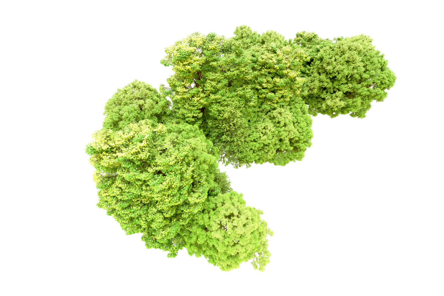 Green forest isolated on background. 3d rendering - illustration png