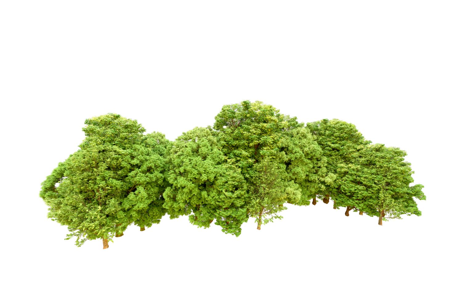 Green forest isolated on background. 3d rendering - illustration png