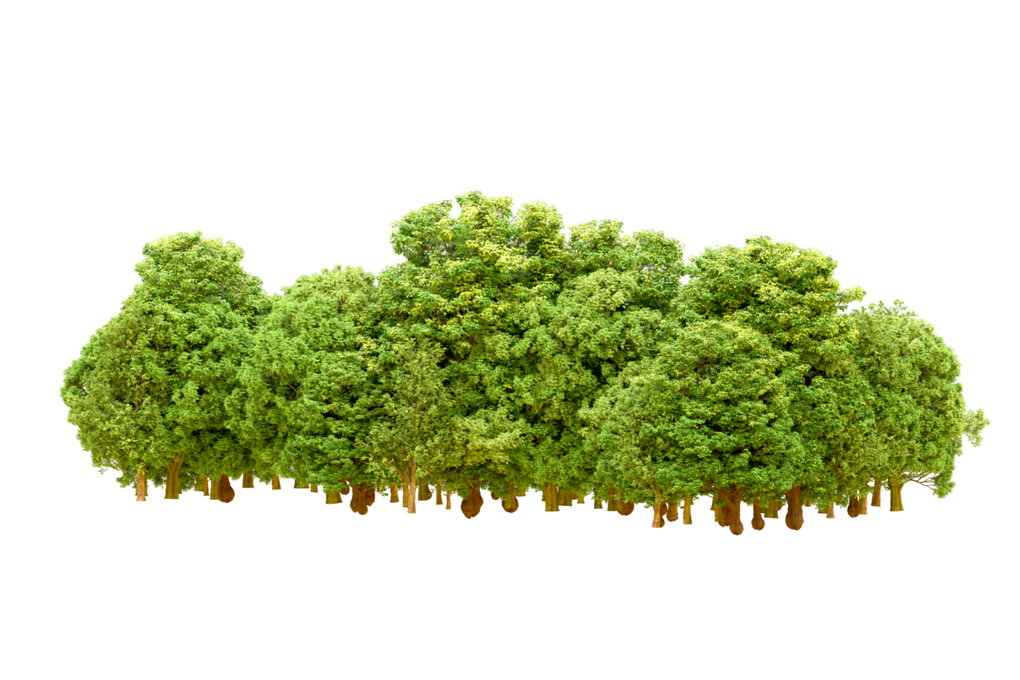 Green forest isolated on background. 3d rendering - illustration png