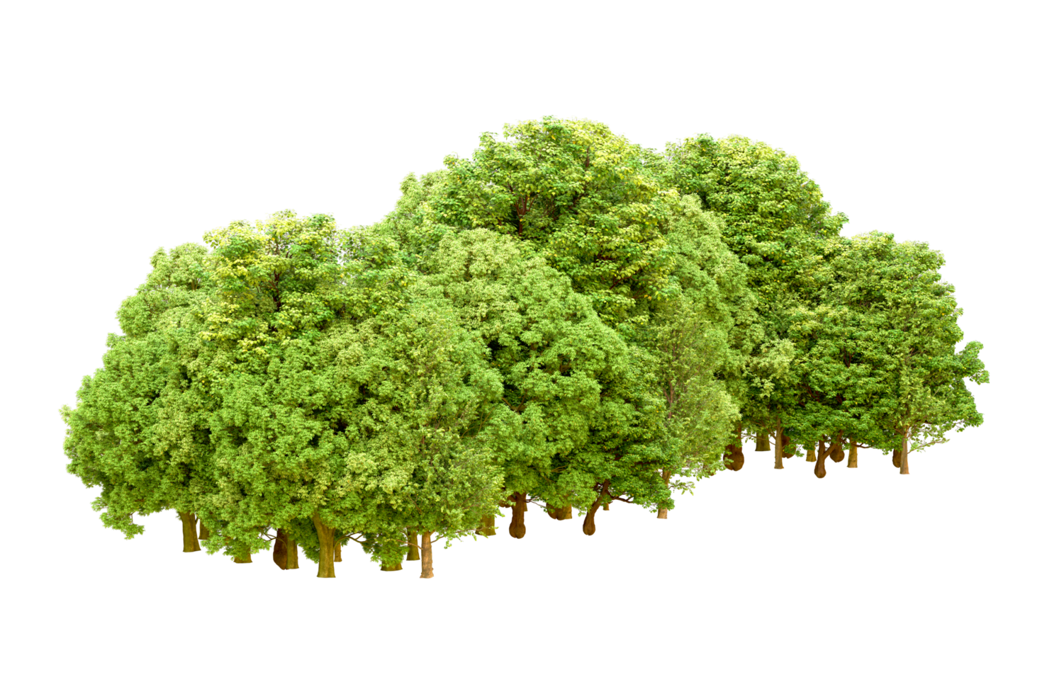 Green forest isolated on background. 3d rendering - illustration png
