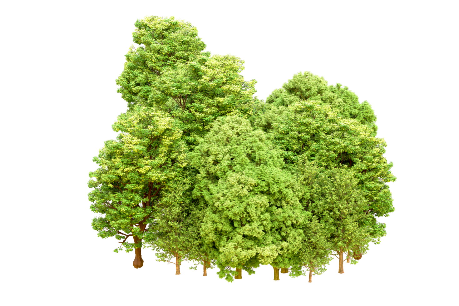 Green forest isolated on background. 3d rendering - illustration png