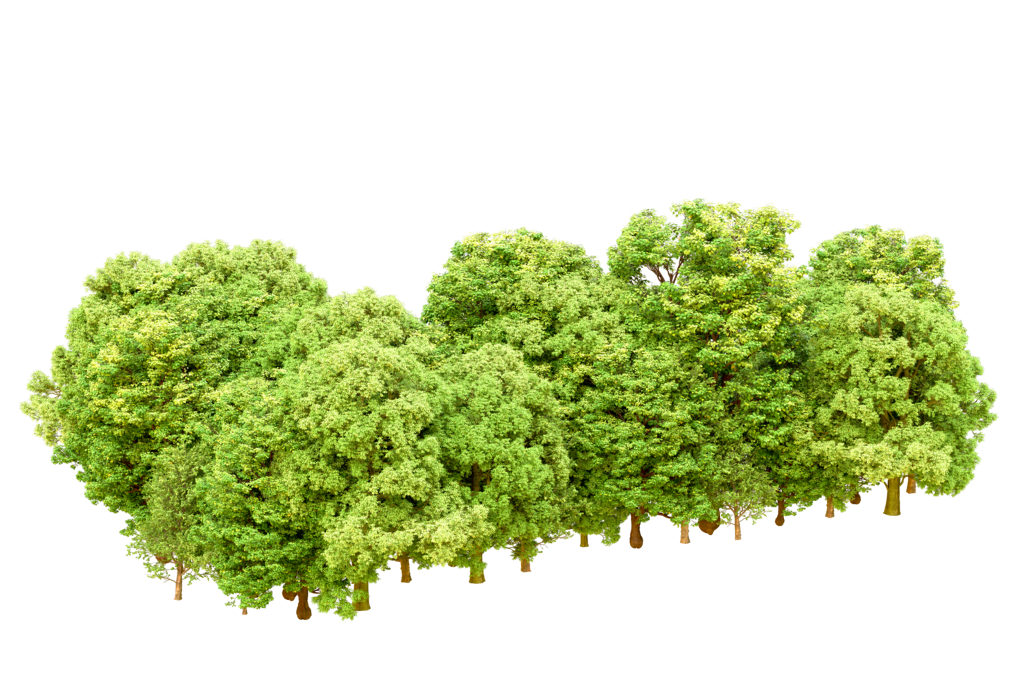 Green forest isolated on background. 3d rendering - illustration png
