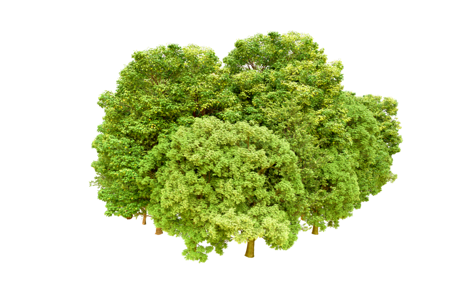 Green forest isolated on background. 3d rendering - illustration png
