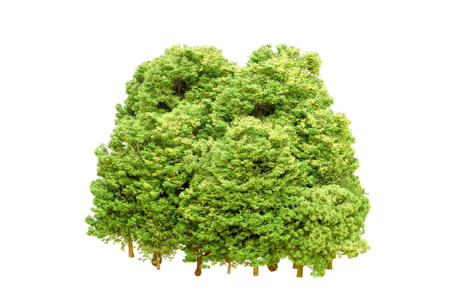 Green forest isolated on background. 3d rendering - illustration png