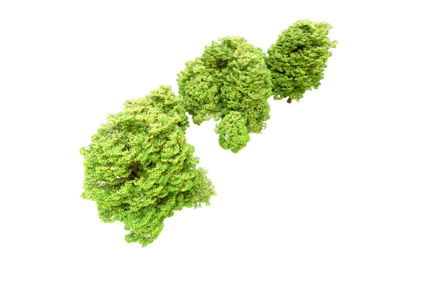 Green forest isolated on background. 3d rendering - illustration png