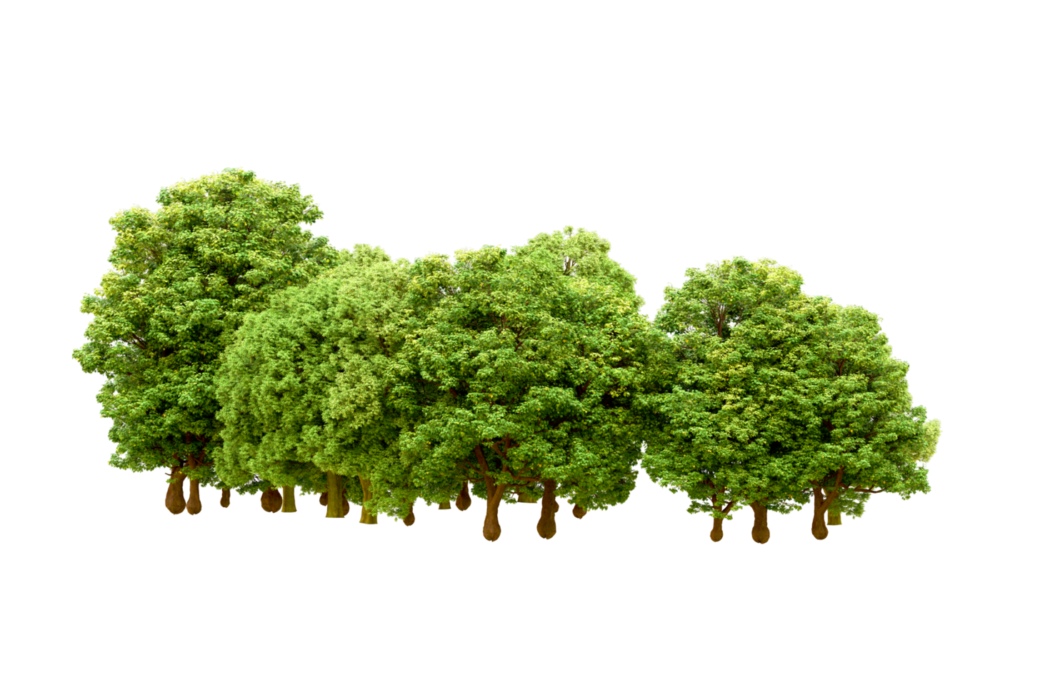 Green forest isolated on background. 3d rendering - illustration png