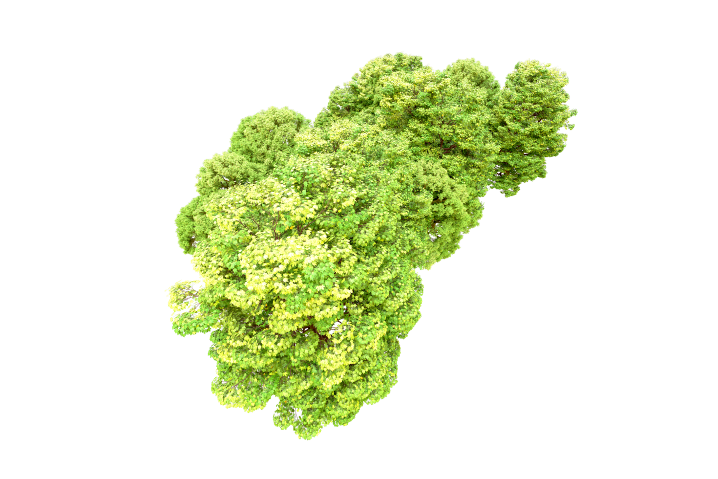 Green forest isolated on background. 3d rendering - illustration png
