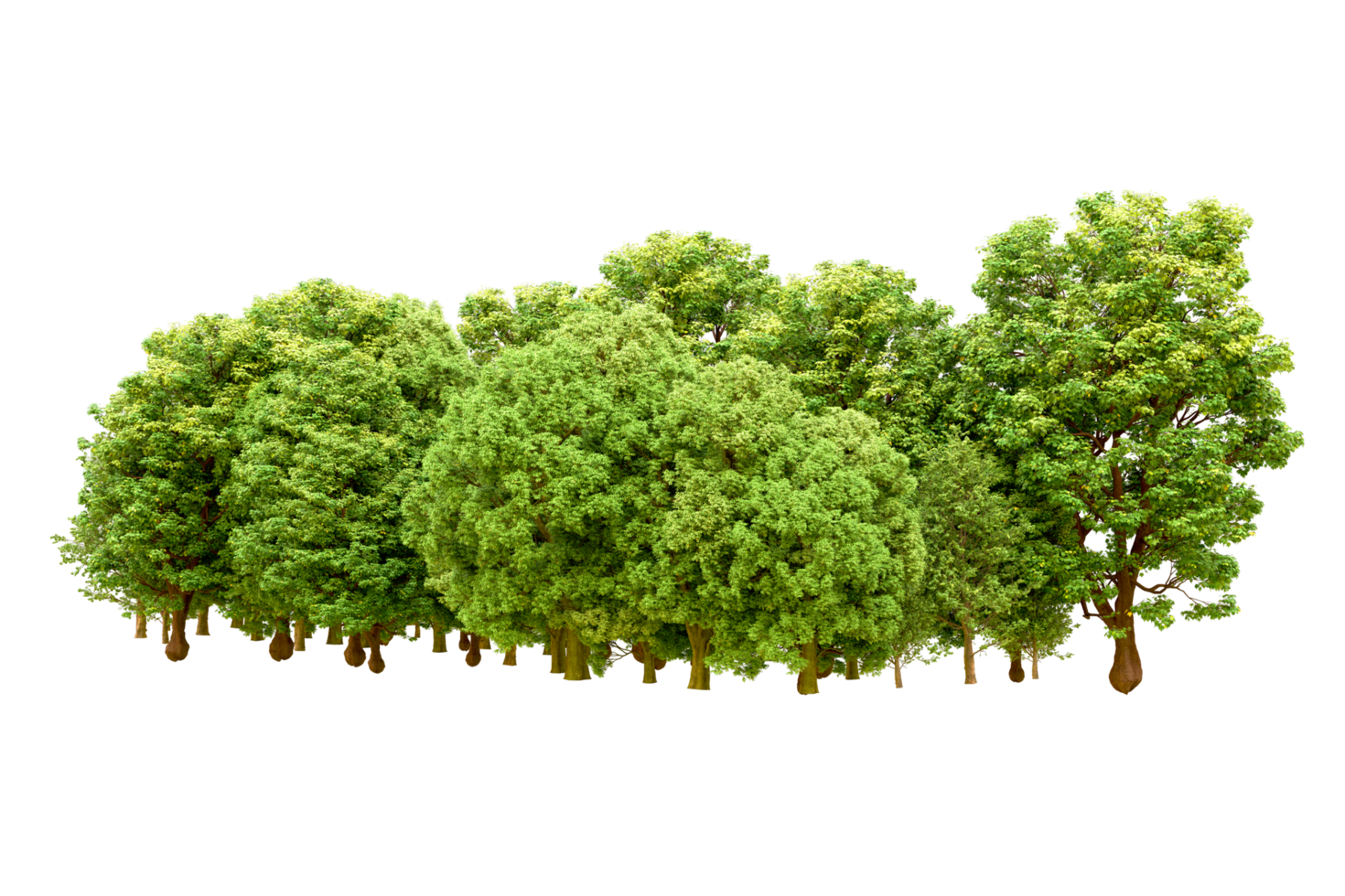 Green forest isolated on background. 3d rendering - illustration png