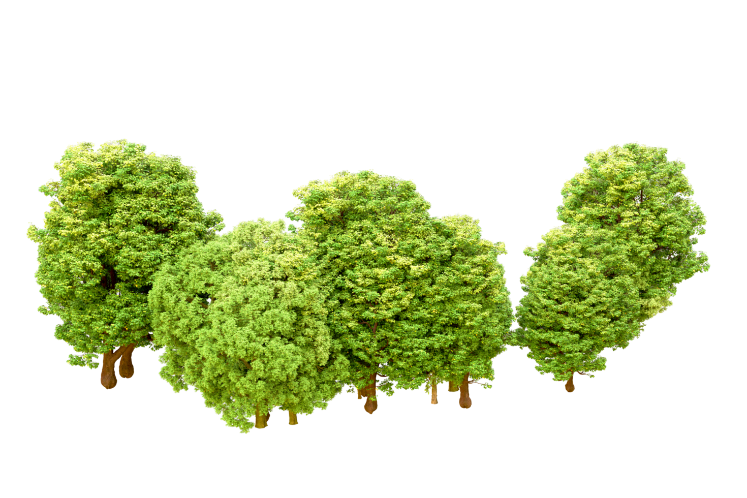 Green forest isolated on background. 3d rendering - illustration png