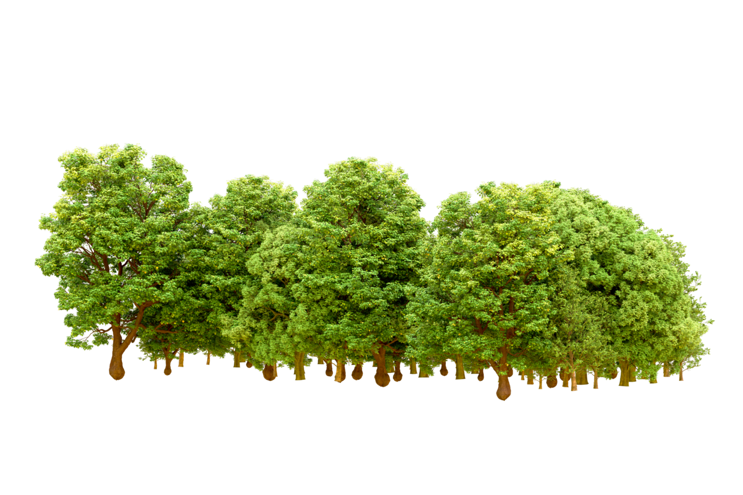 Green forest isolated on background. 3d rendering - illustration png