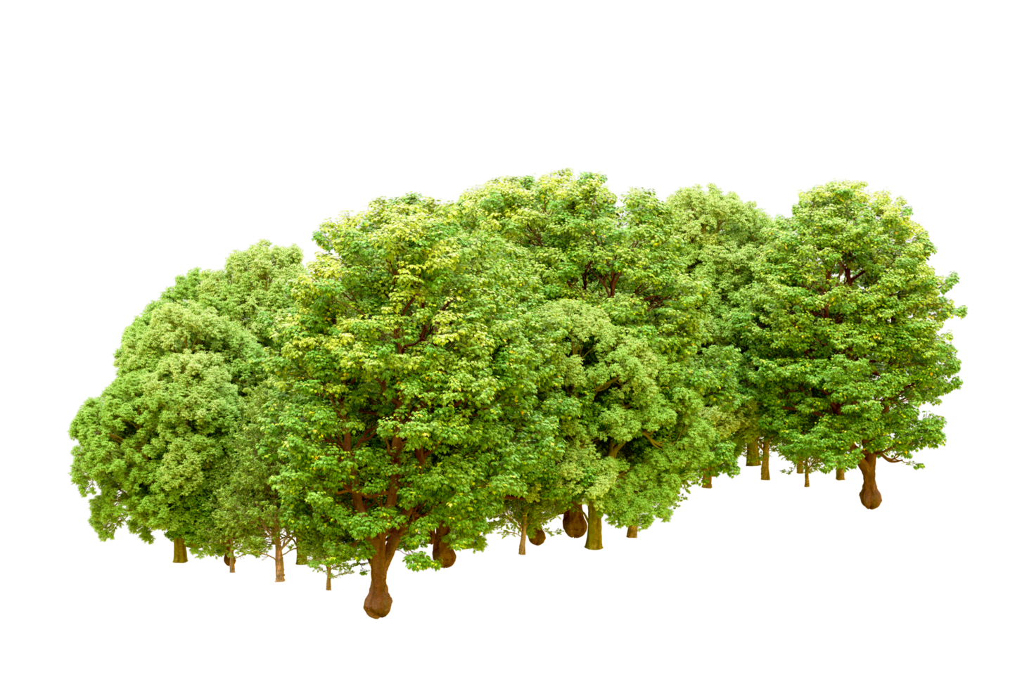 Green forest isolated on background. 3d rendering - illustration png