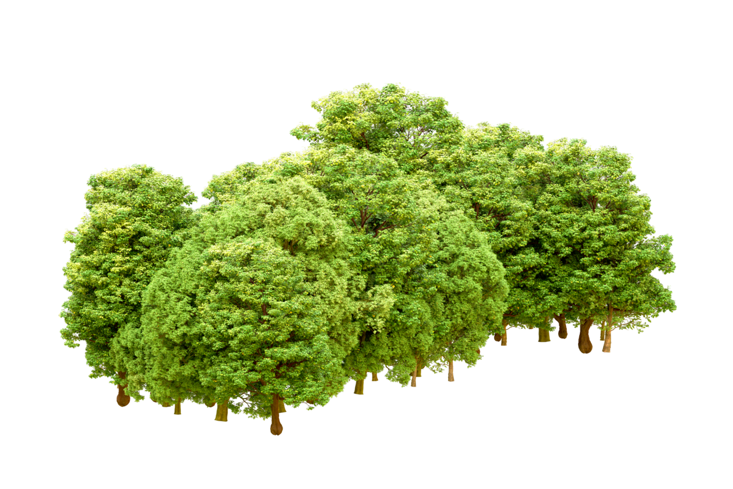 Green forest isolated on background. 3d rendering - illustration png