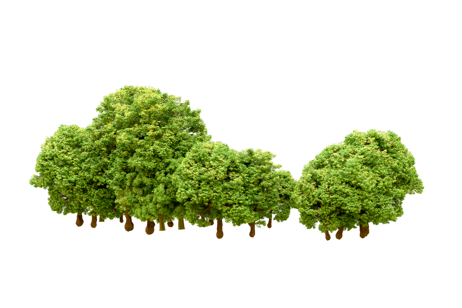 Green forest isolated on background. 3d rendering - illustration png