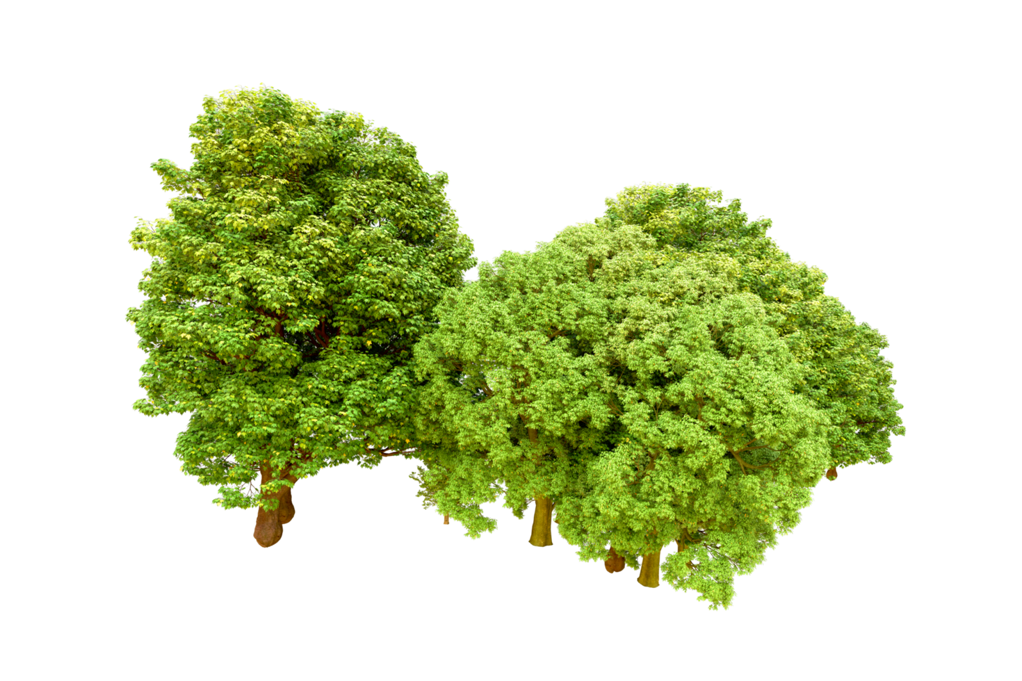 Green forest isolated on background. 3d rendering - illustration png