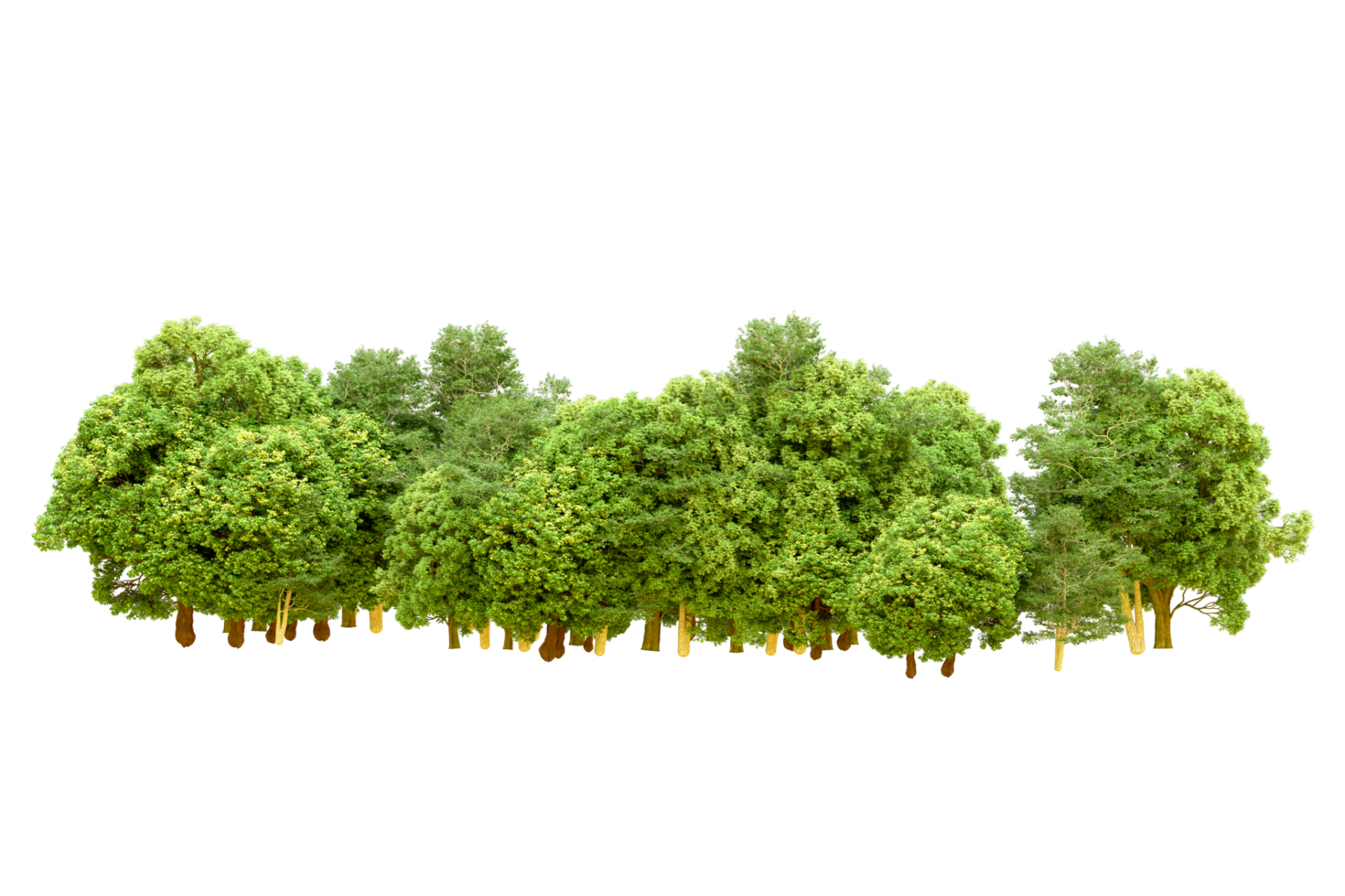 Green forest isolated on background. 3d rendering - illustration png