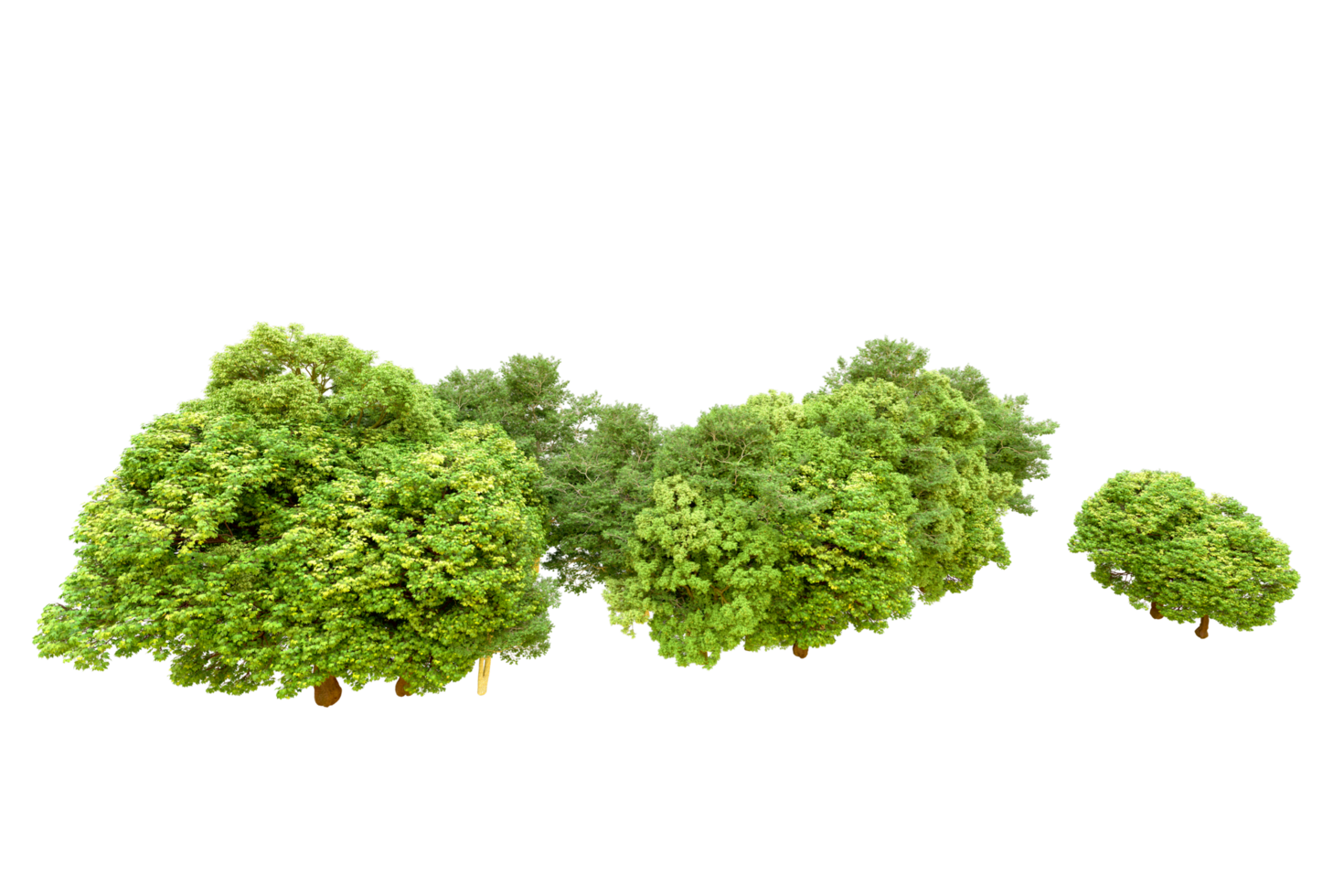 Green forest isolated on background. 3d rendering - illustration png