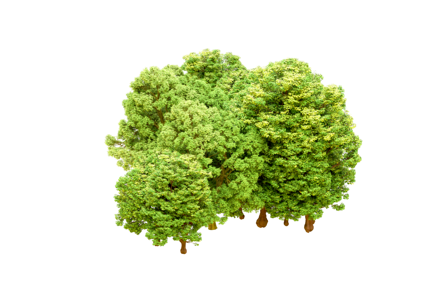Green forest isolated on background. 3d rendering - illustration png