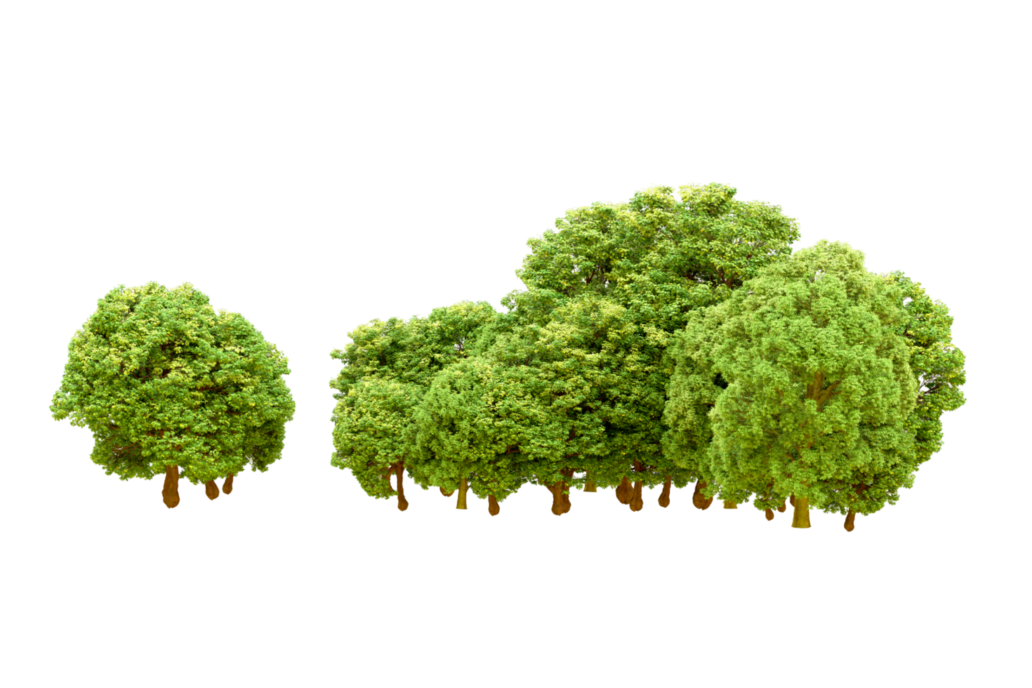 Green forest isolated on background. 3d rendering - illustration png