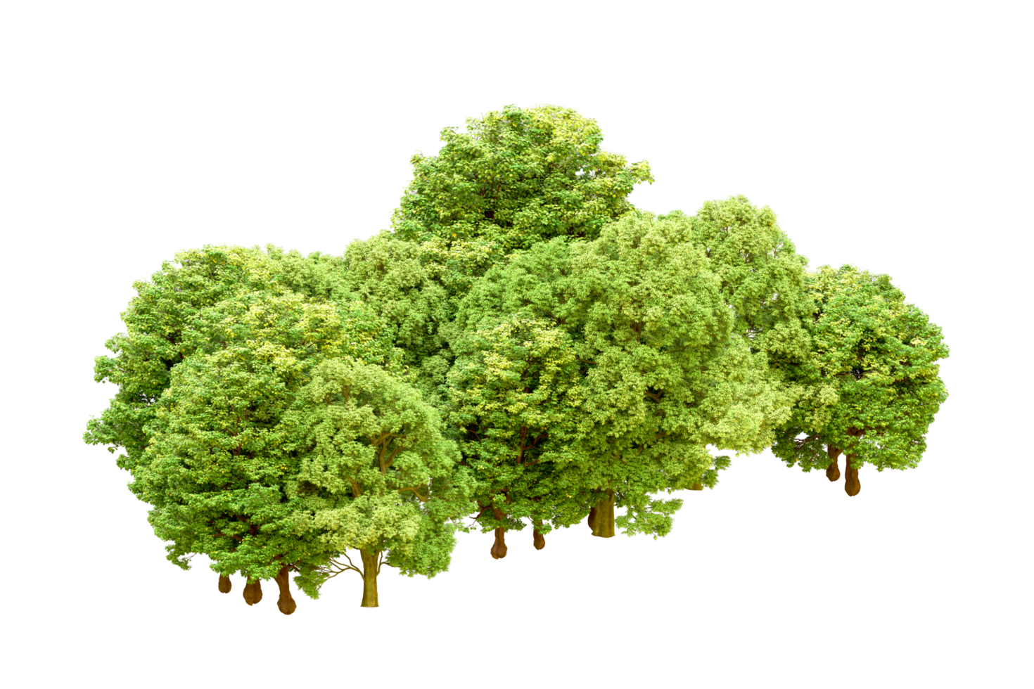Green forest isolated on background. 3d rendering - illustration png