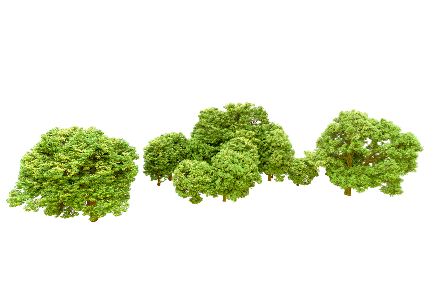 Green forest isolated on background. 3d rendering - illustration png