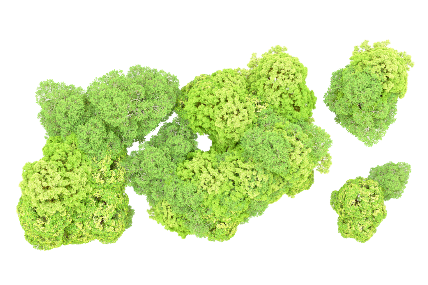 Green forest isolated on background. 3d rendering - illustration png