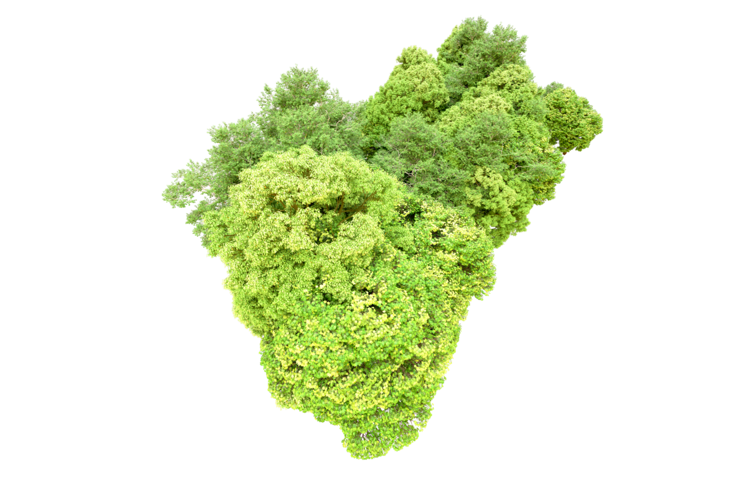 Green forest isolated on background. 3d rendering - illustration png