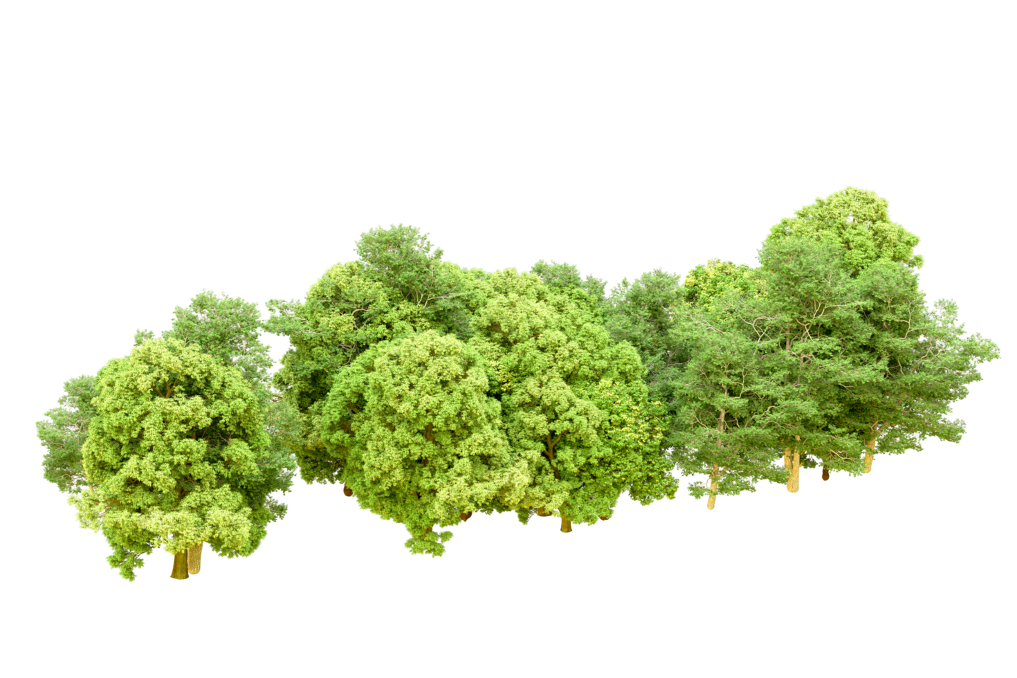 Green forest isolated on background. 3d rendering - illustration png