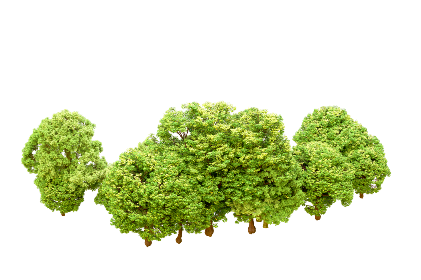 Green forest isolated on background. 3d rendering - illustration png