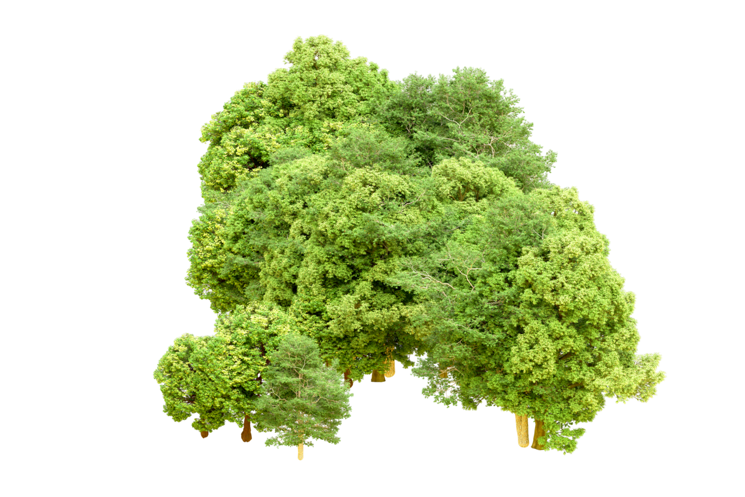 Green forest isolated on background. 3d rendering - illustration png