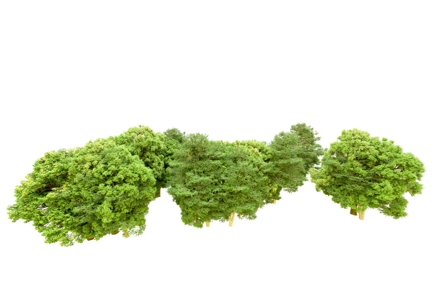Green forest isolated on background. 3d rendering - illustration png