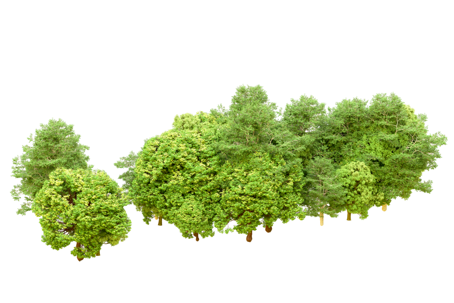 Green forest isolated on background. 3d rendering - illustration png