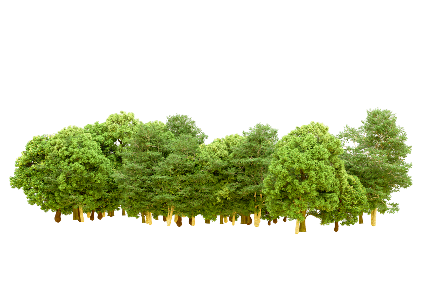 Green forest isolated on background. 3d rendering - illustration png